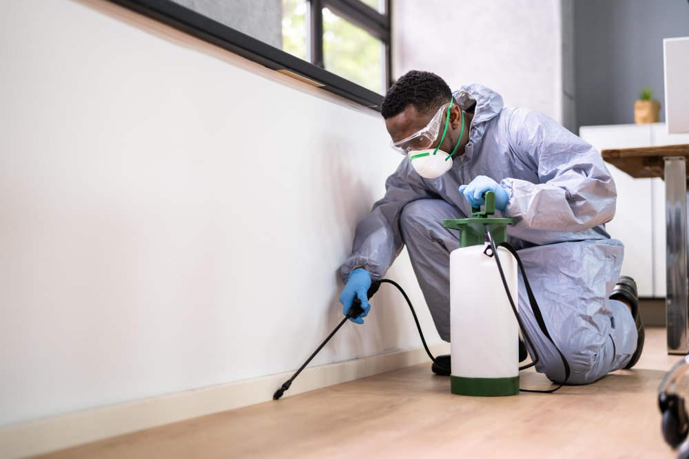 house bond cleaning brisbane