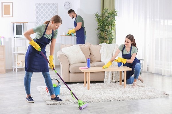 carpet steam clean brisbane