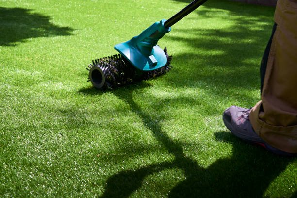 Lawn mowing services Brisbane